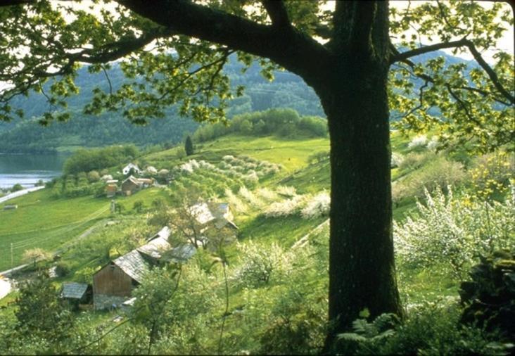 Hardanger Feriesenter Nesvika Villa Norheimsund Ngoại thất bức ảnh